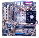 Dimetrodon_MoBo.2p.jpg