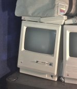 IMG_1337.jpg