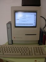 DSCN6731.JPG