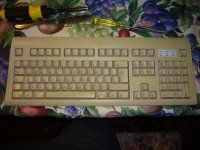 DSC01786.jpg