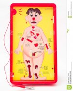 game-operation-old-classic-young-old-where-you-become-surgeon-31885509.jpg