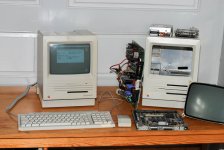 6925339606_f6e8fa0a1c_b.jpg