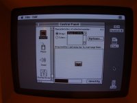 DSC01766.jpg