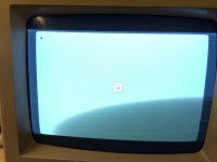 IMG_4678.JPG