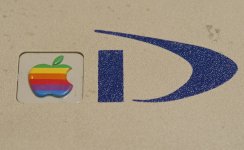 DSC_4597.jpg