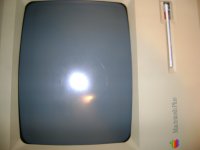 DSC03693.JPG