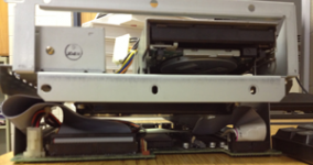 innards4.png innards4.png