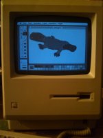 playpus-512k-sml.jpg