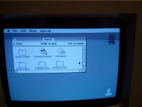 Macintosh BASICs.jpg Macintosh BASICs.jpg
