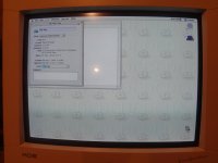 DSC01017.jpg