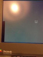image (Large).jpeg image (Large).jpeg