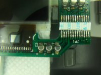 pb145bscrbck05.JPG