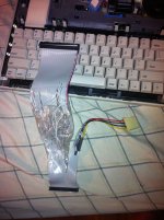 IMG_1982_thumb.jpg
