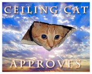 celingcat.jpg celingcat.jpg