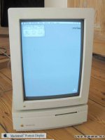 ApplePortrait-Screen.jpg