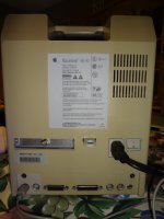 DSC01767.jpg