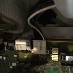IMG_0985.jpg