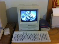 tiger.jpg tiger.jpg