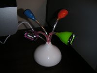 PICT0337.JPG