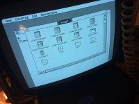 lisa-OS-picture2.JPG