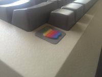 IMG_0586.JPG
