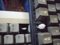 100_2103.JPG