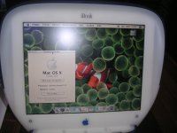 PICT0724.JPG