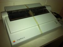 IMG_2619.JPG