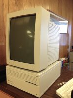 IMG_2976.jpeg