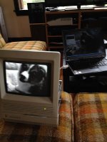 mini303.jpg mini303.jpg