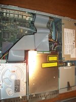 100_0124.jpg