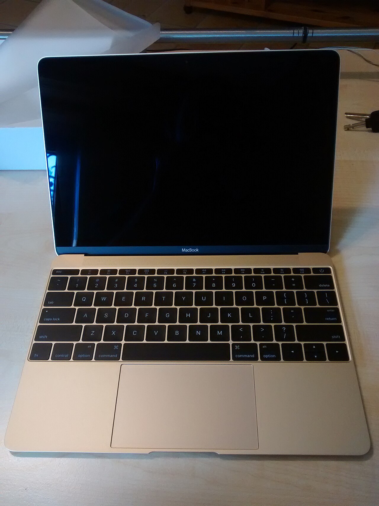 
<span>MacBook (Early 2015)</span>
