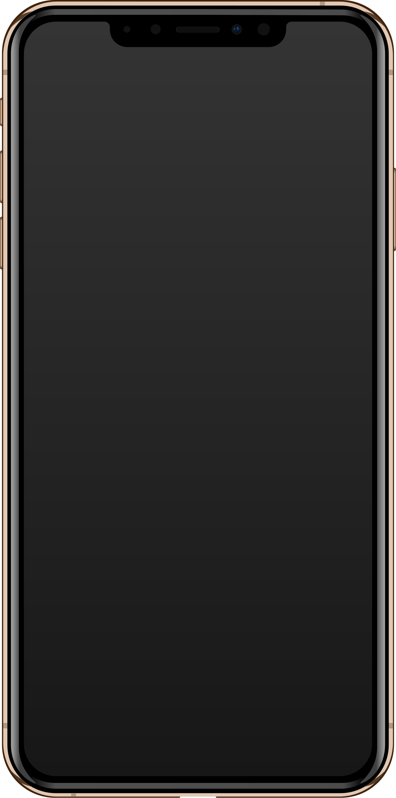 
<span>iPhone XS Max</span>
