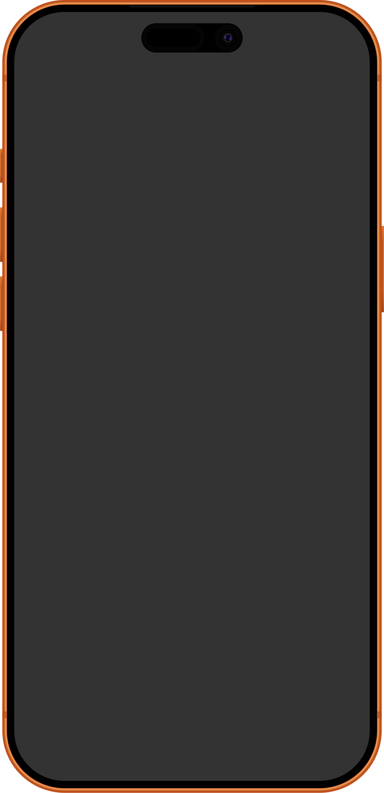 
<span>iPhone 17 Pro Max</span>
