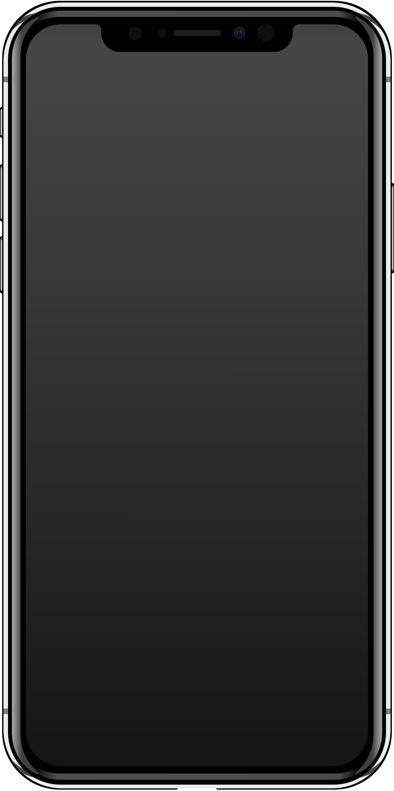
<span>iPhone X</span>
