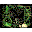 Alien Vs Predator Screens icon