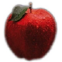 Bioteach icon