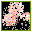 Chinese Lacquer Scheme icon