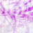 I Kiwi icon