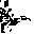 Stego icon