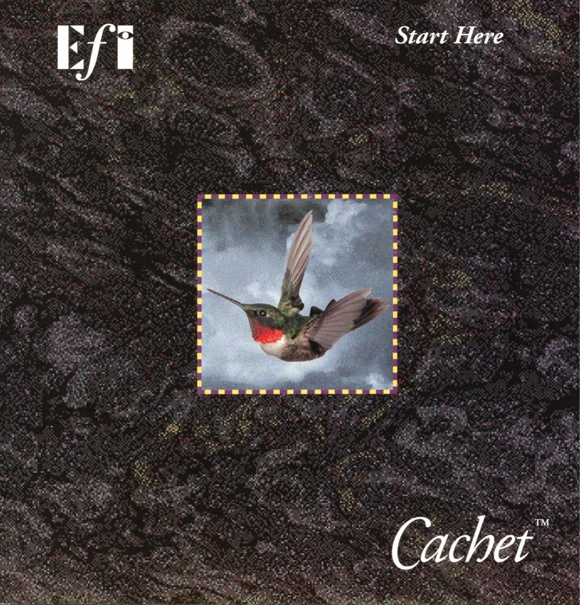 Cachet Start Here 0