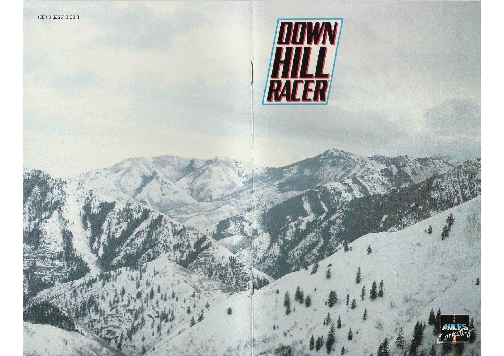 Downhill Racer manual