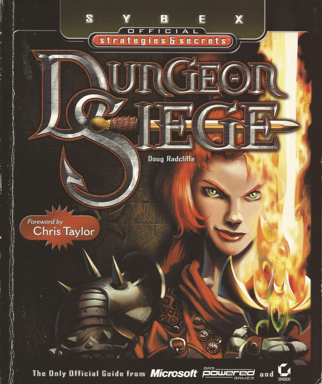 DungeonSiege StratSecrets