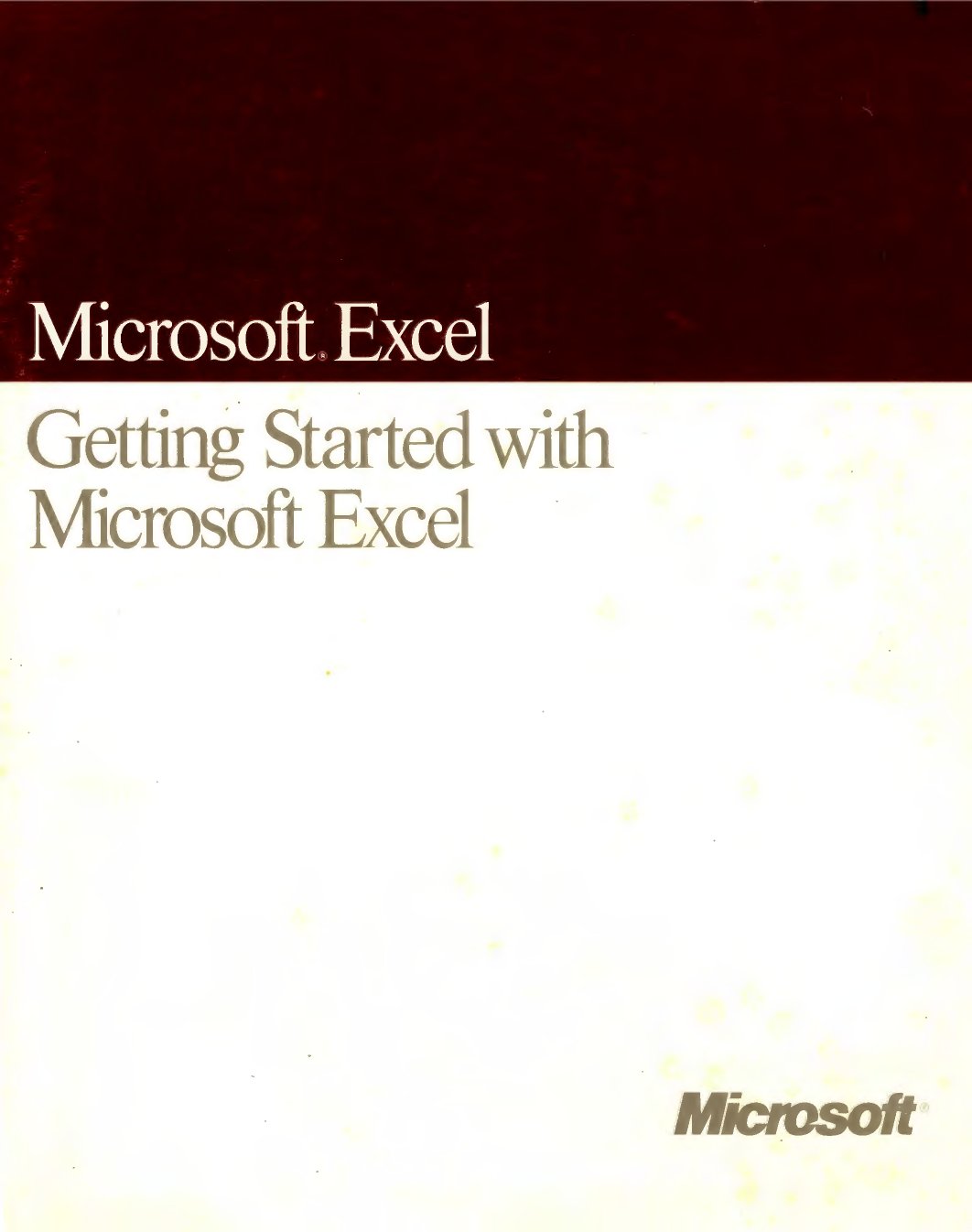 GettingStartedMSExcel2Mac