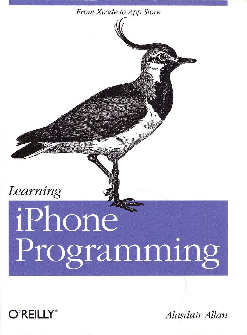 Learning iPhone Programming ebook
