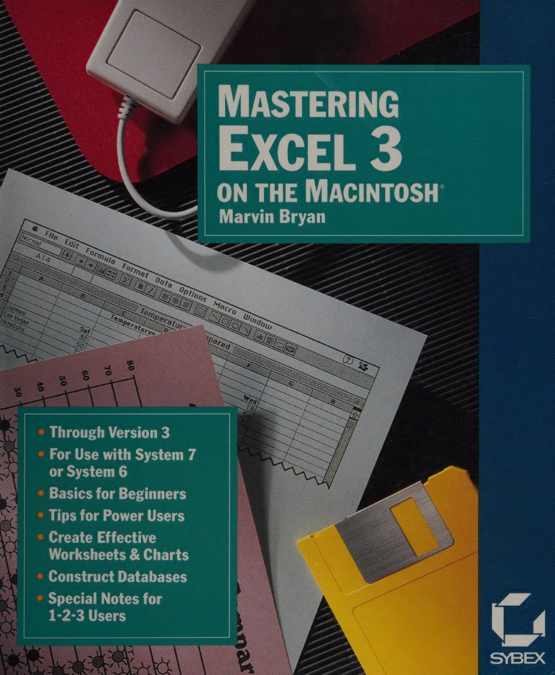 Mastering Excel 3 on Mac