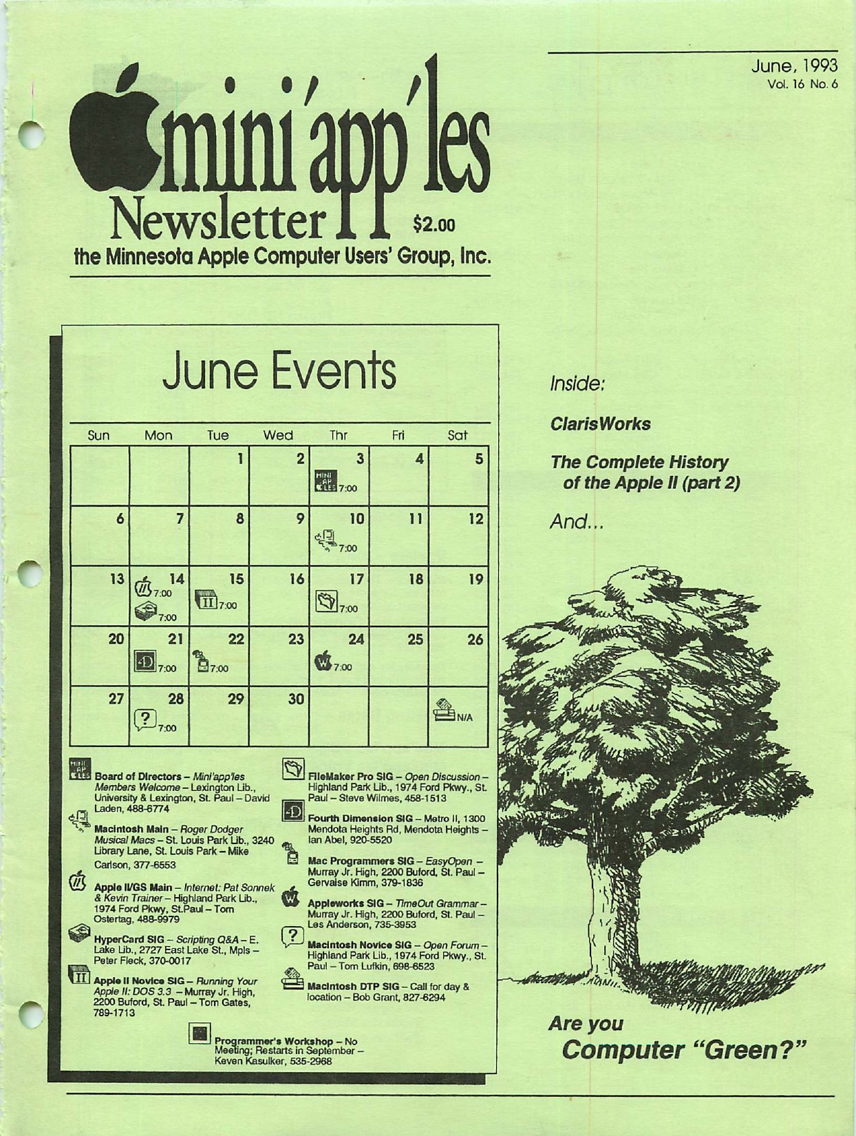 Mini'app'les Newsletter — June 1993