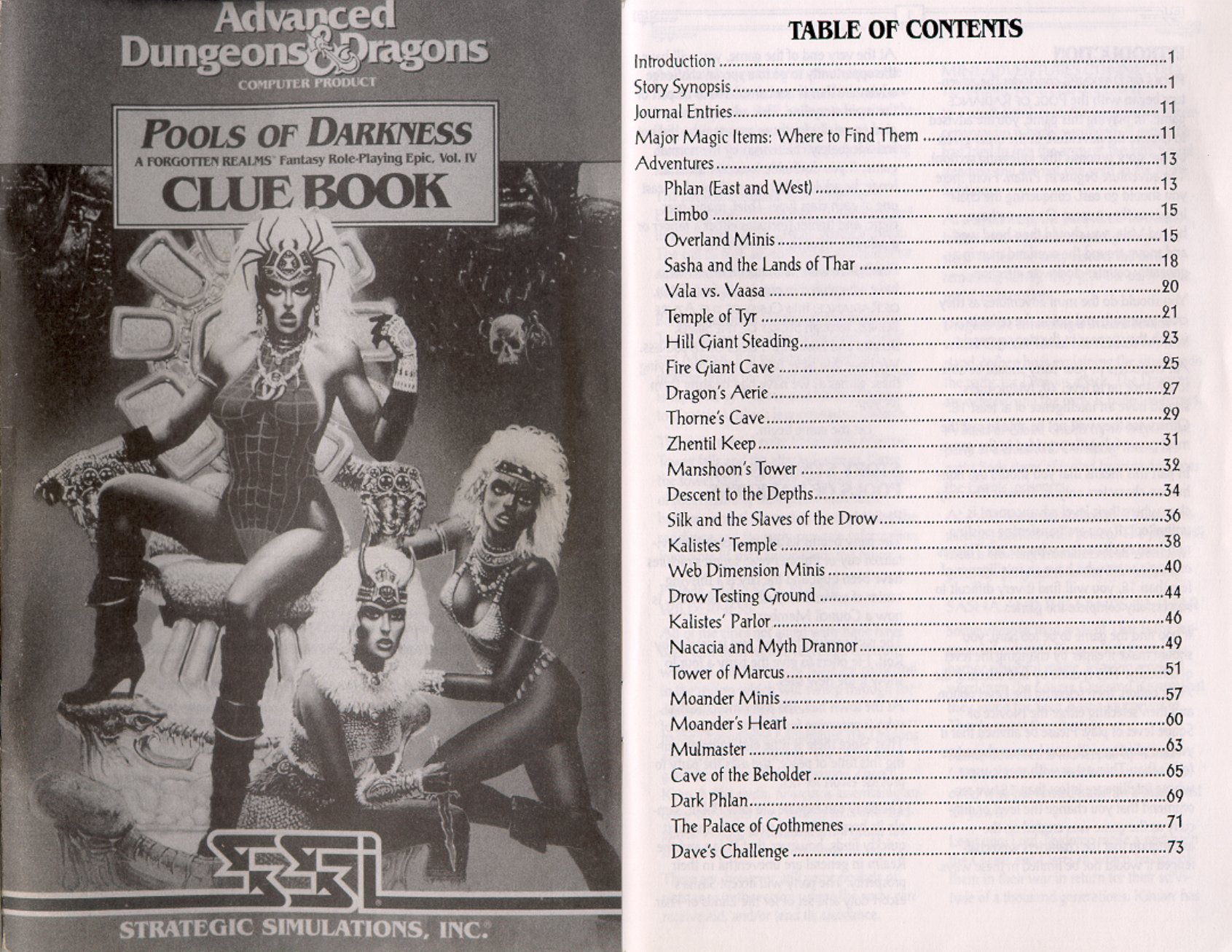 Pools of Darkness Clue Book